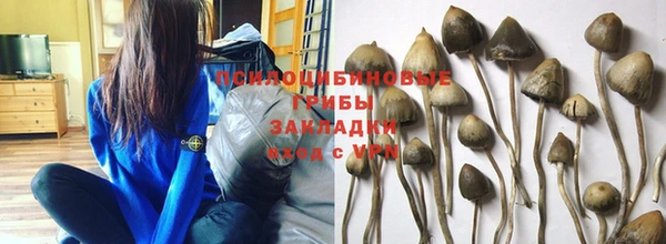 амфетамин Алексин