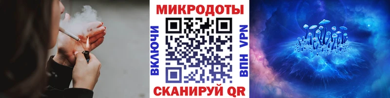 Галлюциногенные грибы Psilocybine cubensis  darknet формула  Талица  что такое   omg маркетплейс 